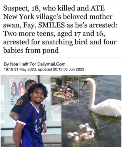 45575E5B-4C74-43D7-86E9-6DFB1BDDBC8B