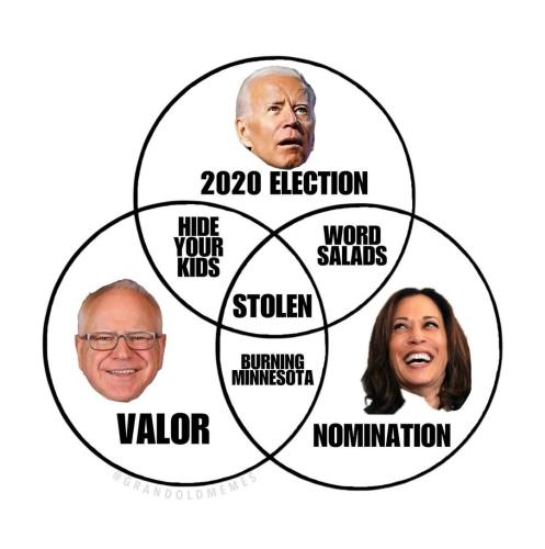 kamala ven diagram stolen 2020 stolen valor burning minnesota nomination kamala