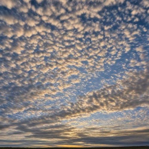 fa2dedda-301d-418a-b20b-7435a39b385c