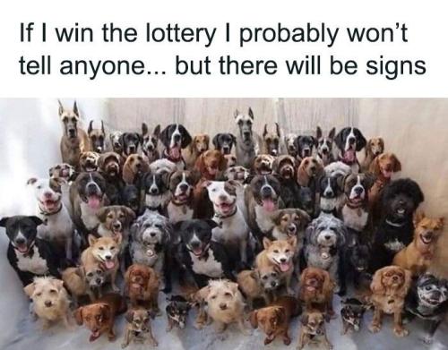 3a1b5432b02f21192a429217802c0114