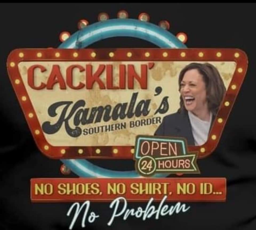 image_2024-09-01_094423843