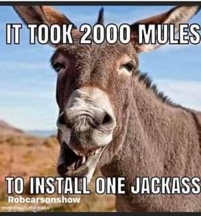 1ba2e4977774151204c13e1b3eee44ae