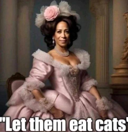 image_0CEA7FAA-7304-4C1A-9BFC-837C2EC16CB6