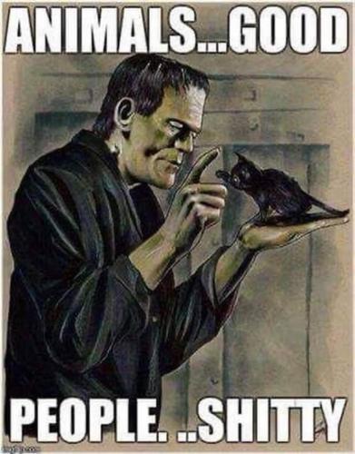 image_467EC1DE-1A1D-495D-842A-61DB83D813DA