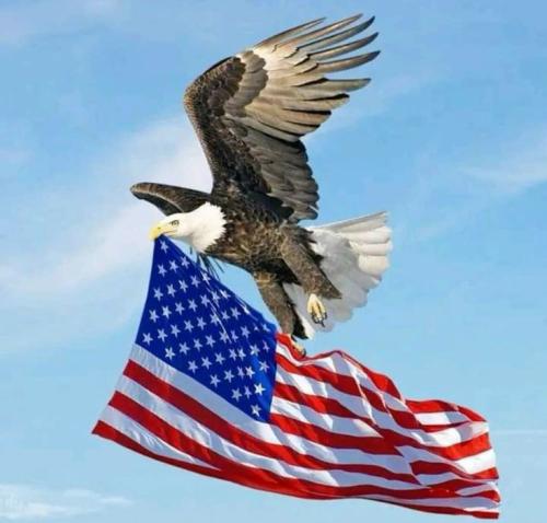 62b40979661dbdd9b6cafd696e4798b4