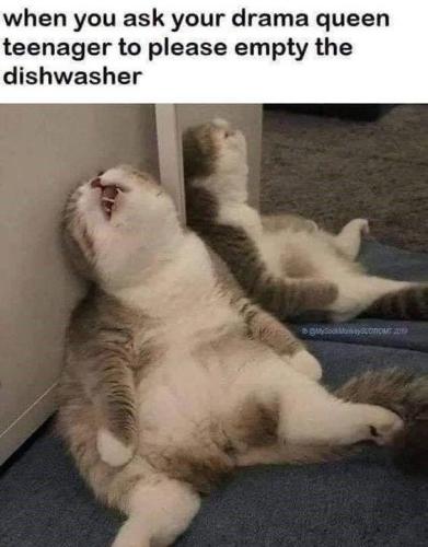 033330dac456362191d0eb4290368e03