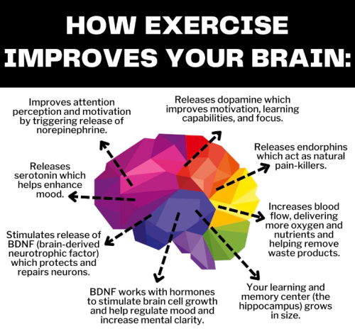 Screenshot 2024-09-23 081719