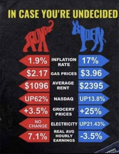 in case you are undecided