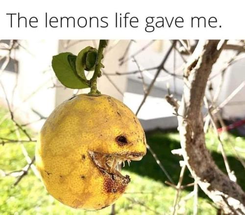 FB_IMG_1725878089827