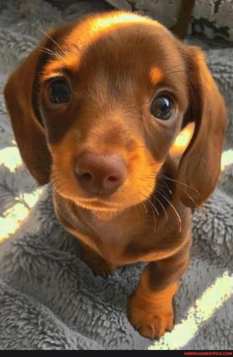 054a189a9d681496020115658085febde078f34cd19699aea0eea7b02c2302ff_1