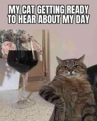 image_6142CA11-E49A-41F3-A534-7699BAC0D1EB