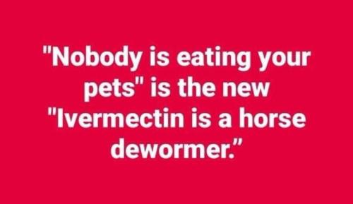 image_870C69DF-6955-4001-980B-746BDFEB6435