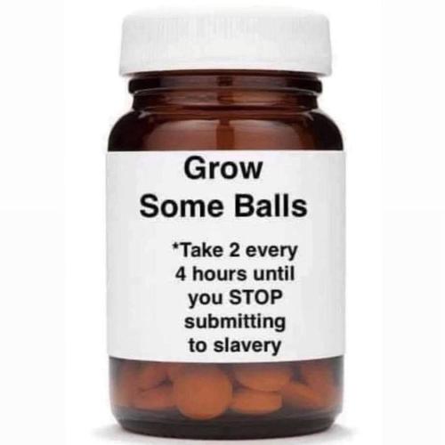 IMG_20240917_202536_426