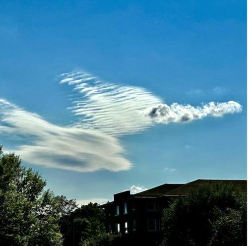 efbfc00f-3061-45cb-840f-335e495e2eee