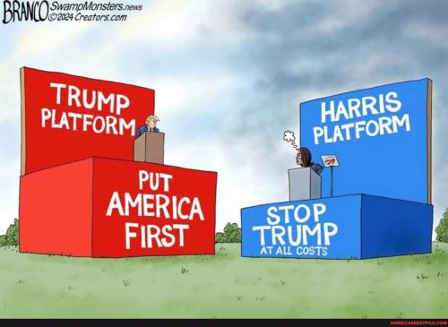 c377bdeea92e1dafd11d5a9bc66a8c8e596d4d0ff545d6b9ff9ec1220add91a3_1