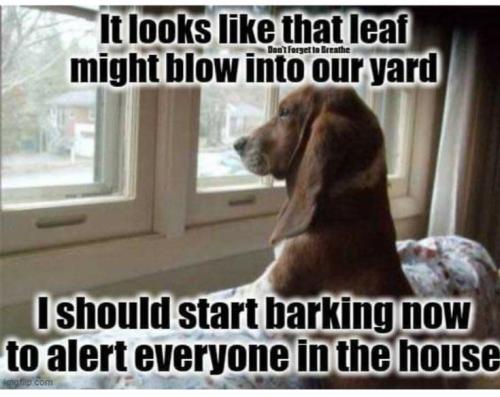 688570e4a220264d4e6399994103477d