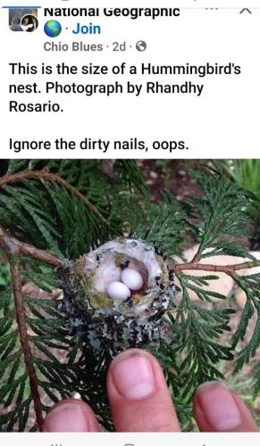 825cd3e6-8e13-41bb-b89b-8bba4cb48a30