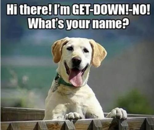 9AC49090-3597-4E19-A46B-F4A49FE7690E