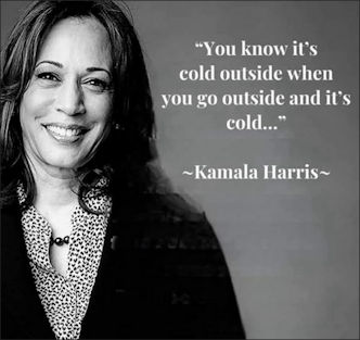 kamala harris521