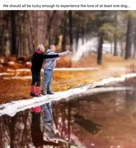 8A918169-39A9-4293-A361-08666B98E6AF