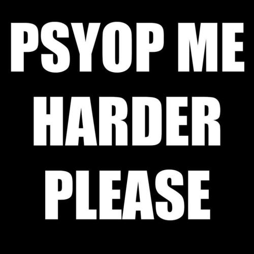 f2b5d274de067470fb653fbff310385d