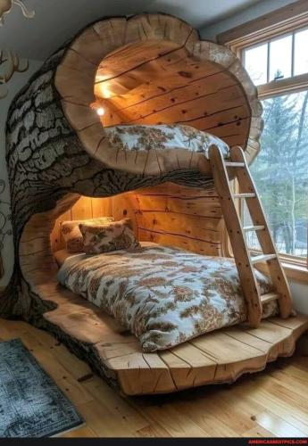 729d915f709a8c922a0f7db40c5a38a37770c907a1a641d2bcfb612c63db6ed2_1