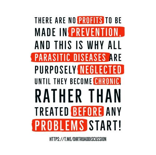 IMG_20240901_213429_732