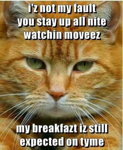 175b1922af609e8843e1cb573515f91d