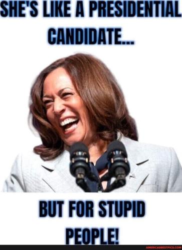 52f915ba2dc8a6acb6bfbaefc1b43d450b28930b58d14e1bf45939583173ee2c_1