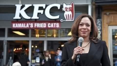 e8833254-e3c7-4c8e-b39e-ce1a19b16a60