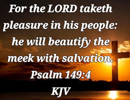 c11ce90f-7763-4590-a2d9-668326cbb324