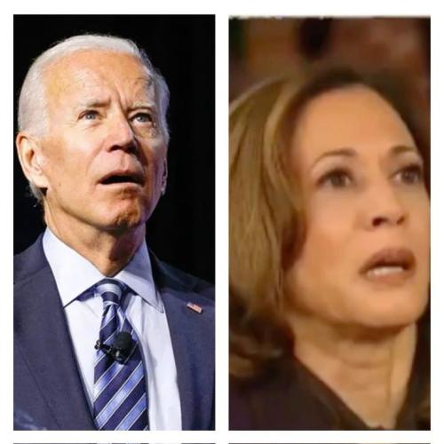 2aadeea0e7c19867ec17612294d6e031