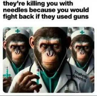 IMG_20240909_062717_091