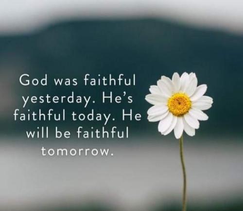 3666c548-e02d-47d4-be35-211ae4e531b2