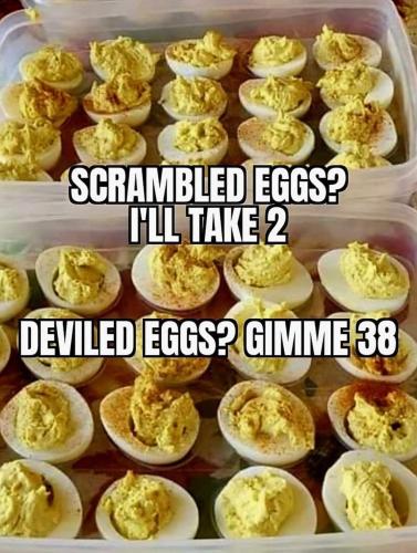 deviled eggs