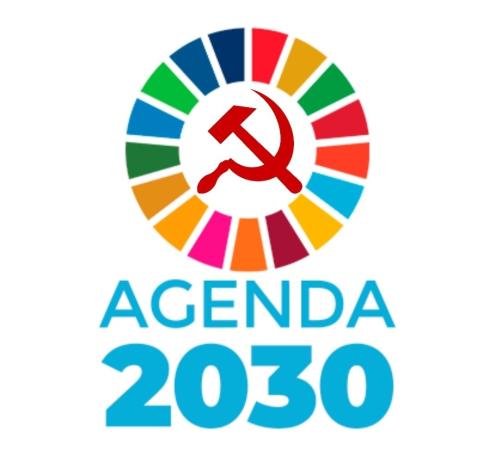 xephula_a4e4619fa185f7dcad25aa706de7422d