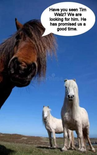 b55e064b-0da6-49d7-b485-42c7bc8621ab