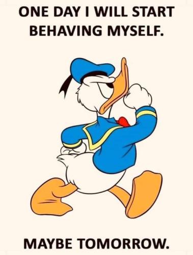 457503626_1051578500305955_4612905681351777910_n