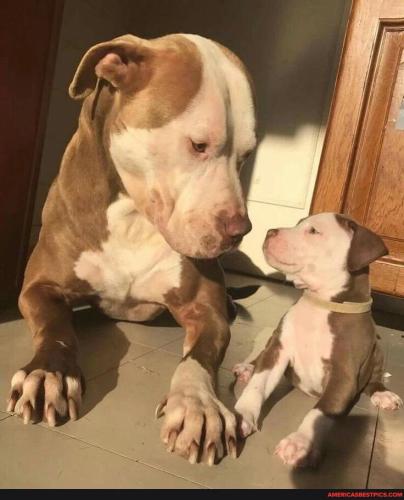 161192d1ec60c816983b19652ac9d0dda24f389c3b0d5ec064c500afc5fba434_1