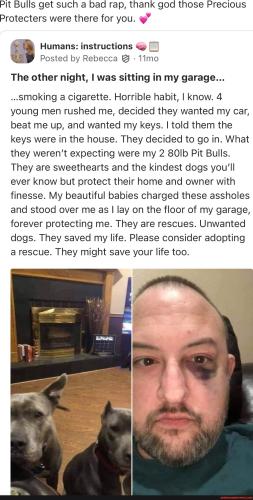 722dd8a4bbf411d684fd072121f93e42cbf49206123b402ec6d1b1fdce8c3df9_1