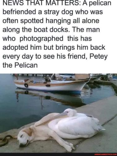 0de30a91c2a000dc0326bb694c423b2e29f5058dfe0bee048acf908ff19dff8d_1