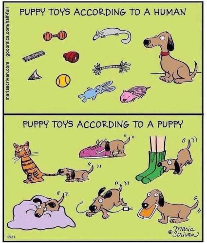 4A08C912-B74C-43F5-9663-75A58F207A37