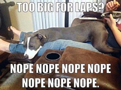 fe8802b95077160de8cc4c8f5463812c