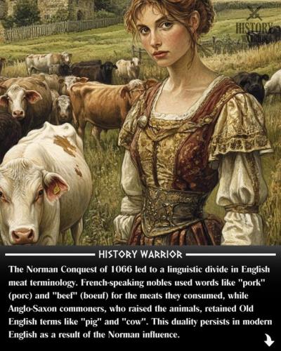 460219228_122115658256466417_7103774020110137978_n