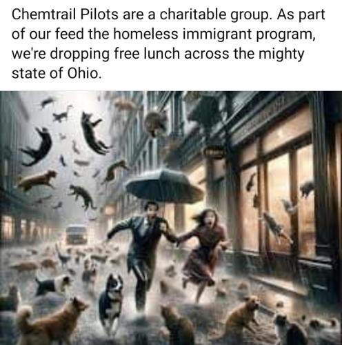 9f1fd852-6b8b-49f5-8e1b-9eb61c2366e0