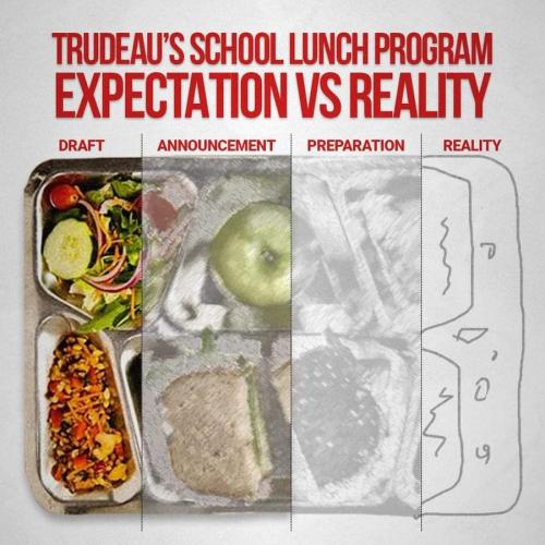 expectation vs reality