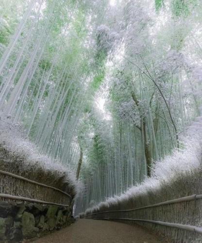 ,                          ,