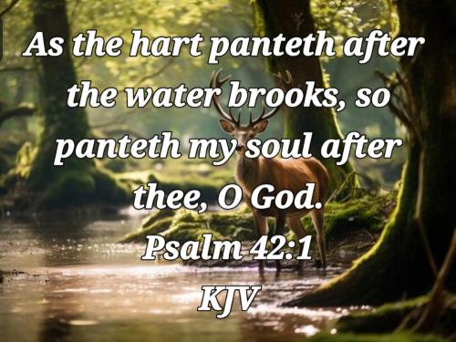 01:01:41 GMT-0700 (PDT)