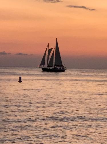 98E1A25A-CDDD-4AB5-9298-C3937A138609