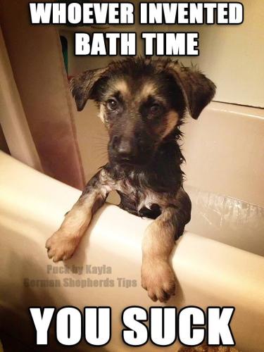 3c699c6fe970c1681e4643ec63337f11